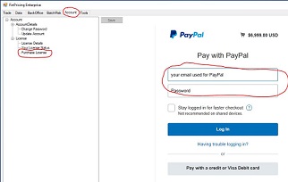 PayPal login windows